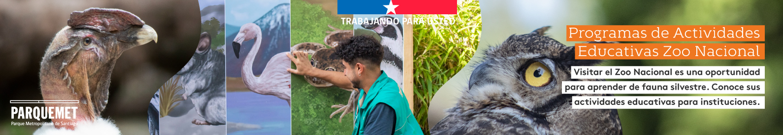 Actividad Educativa en Zoo Nacional