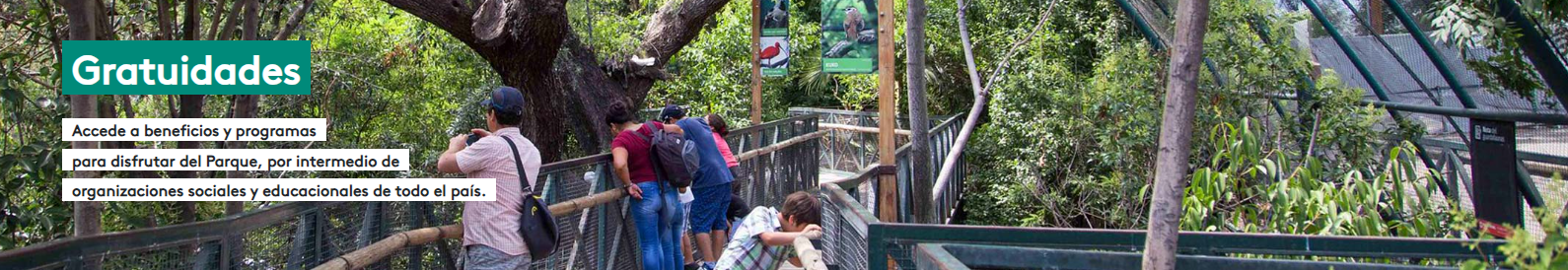 Programa Gratuidades Zoológico  y Piscina Tupahue